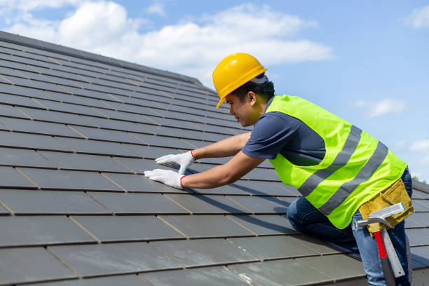 Best Roof Maintenance Services  in Llington, MI