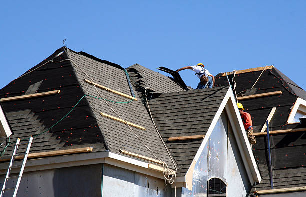 Best Roof Repair Services  in Llington, MI