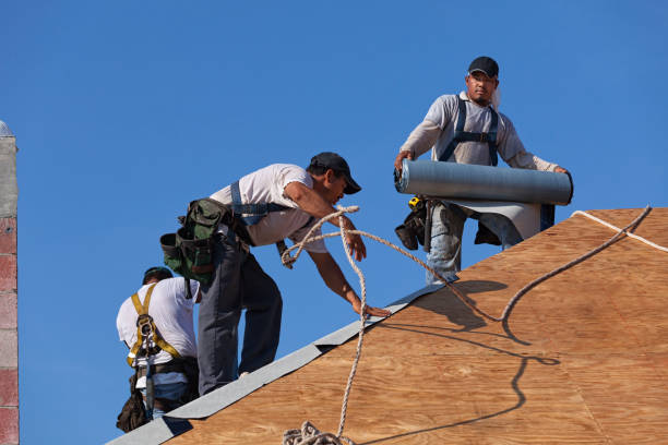 Best Affordable Roof Replacement  in Llington, MI
