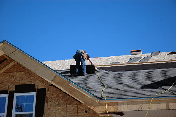 Best Roof Restoration Services  in Llington, MI